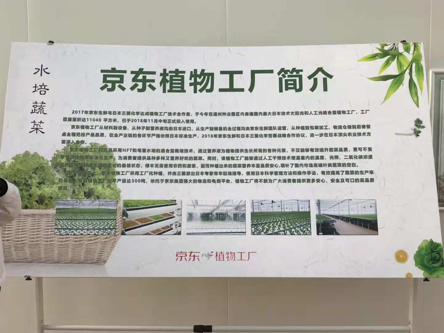 生而領鮮 京東植物工廠亮相通州，助力京東生鮮、7Fresh蔬菜